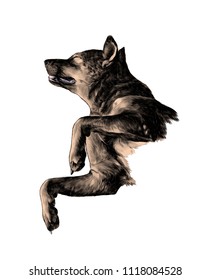 The dog raised face with eyes closed and legs bent in a pose of relaxation, sketch vector graphics color illustration on white background