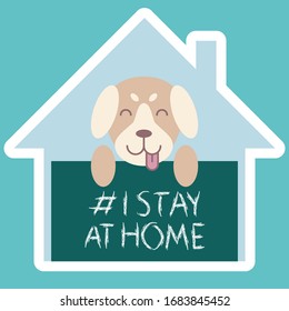 The dog raised tongue rests on legs chalk board with text # I stay at home. Awareness social media campaign and coronavirus prevention. Puppy smiling