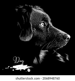 Perro, esbozo realista Animal, ilustración vectorial