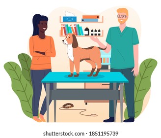 Dog at reception of veterinarian. Owner of pet is standing near veterinary table Veterinarian examines pet. Shelves with folders, medical records, medicine bottles, disposable wipes. Big green leaves