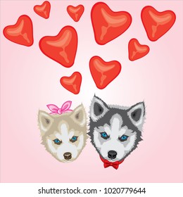 Dog with red bow tie and heart balloon. Black and white Siberian husky with blue eyes. Valentine's day greeting card. Vector illustration.