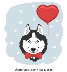 Dog with red bow tie and heart balloon. Black and white Siberian husky with blue eyes. Valentine's day greeting card. Vector illustration