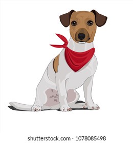 The Dog and Red Scarf