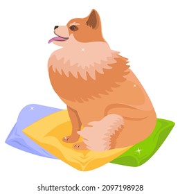 Dog. Red Spitz in profile, sitting on pillows. Cartoon drawing. Fun illustration. Graphics. Vector. Can be used for stickers, collage, web design. Grooming salon.