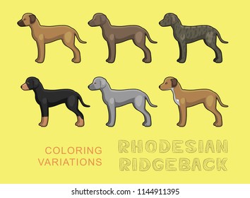 Dog Rhodesian Ridgeback Coloring Variations Vector Illustration