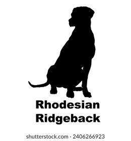 Dog Rhodesian Ridgeback silhouette Breeds Bundle Dogs on the move. Dogs in different poses.
The dog jumps, the dog runs. The dog is sitting lying down playing
