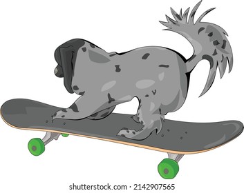 Dog Riding Away on a Skateboard
