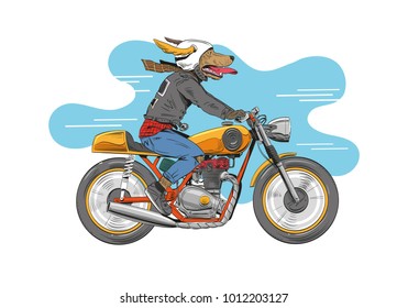 犬は古典的なバイクに乗っている 手描きのベクトルイラストデザインコンセプト のベクター画像素材 ロイヤリティフリー Shutterstock