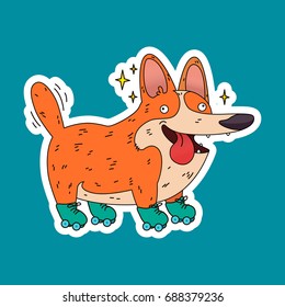 Dog. Roller skates. Vector illustration. 
