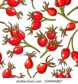 dog rose berries vector pattern