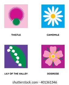 Dog rose, chamomile, thistle, lily of the valley flowers set. Botanical plants icons. Vector illustration. Stickers.