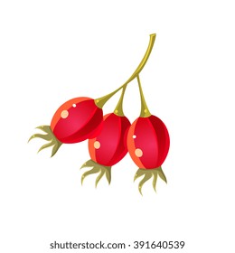 Dog Rose Flat Vector Sticker Simplified Design Isolated On White Backgroung