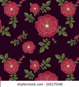 Dog rose on  background