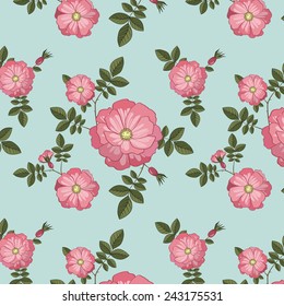 Dog rose on blue background