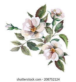 Dog Rose Seamless Pattern 