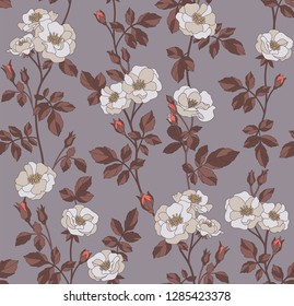 Dog rose seamless pattern. Vector illustration.