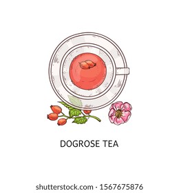 Dog rose tea in glass teacup and plate duo, beautiful fruit and berry drink drawing with flower and plant arrangement from top view, isolated vector illustration on white background