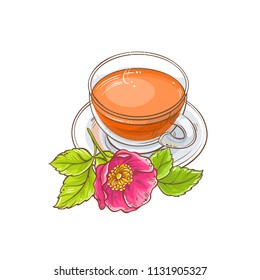 dog rose tea illustration