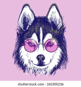 Dog in round pink glasses. Vector hand drawn illustration.