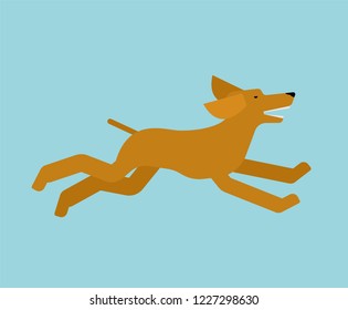 Dog run isolated. Pet Running. vector illustration

