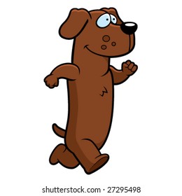 Dog Running