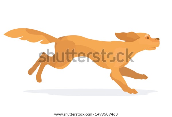 犬が走っている 2dキャラクタの金色の再取り込みアニメーション のベクター画像素材 ロイヤリティフリー