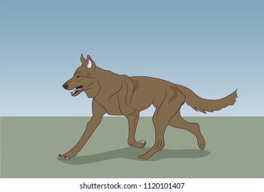 dog running, color, vector, Outdoors
