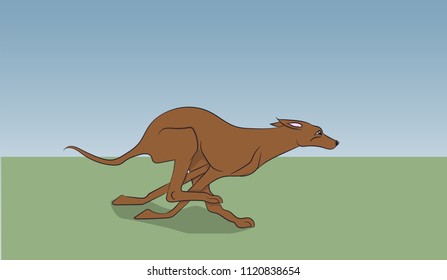 dog running, color, vector, Outdoors
