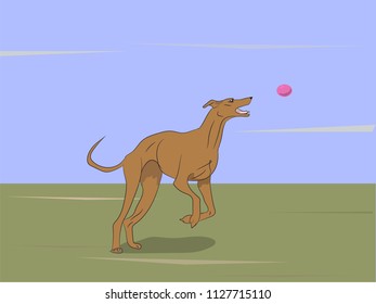 dog running, color, vector, Outdoors
