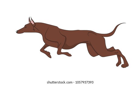 dog running, color, vector, white background