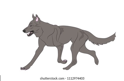 dog running, color, vector, white background