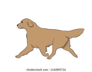 dog running, color, vector, white background
