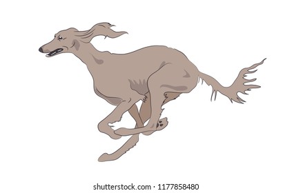 dog running color vector, white background