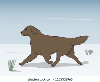 dog running forward, on the ground vector, outdoors