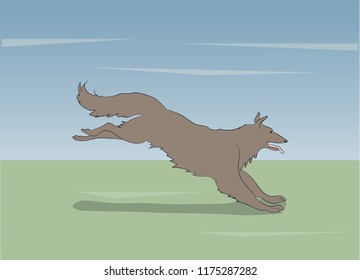 dog running forward, on the ground vector, outdoors