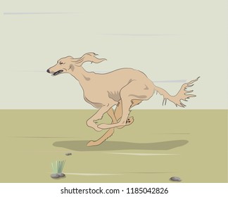 dog running forward, on the ground vector, outdoors