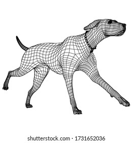 Dog running polygonal lines illustration. Abstract vector dog on the white background