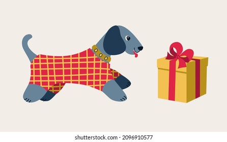 The dog runs to the gift box