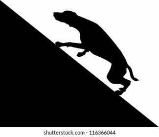 Dog runs uphill