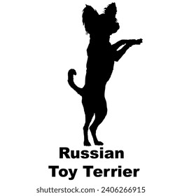 Dog Russian Toy Terrier silhouette Breeds Bundle Dogs on the move. Dogs in different poses.
The dog jumps, the dog runs. The dog is sitting lying down playing
