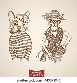 Dog sailor lady cat portrait clothes accessory wearing singlet purse tobacco pipe glasses. Engraving style pen pencil crosshatch hatching paper painting retro vintage vector lineart illustration.