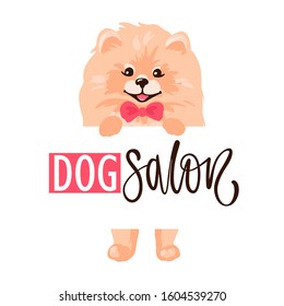 Dog salon, Pet grooming logo design template. Hair salon for animals with cute Pomeranian Spitz puppy isolated on white background. Vector stock illustration in flat cartoon style.