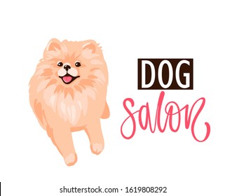 Dog salon, Pet grooming logo design template. Salon for animals with cute Pomeranian Spitz puppy isolated on white background. Vector stock illustration in flat cartoon style.