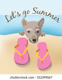 Dog and Sandal Beach