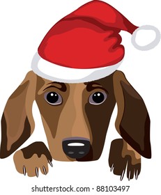 Dog  in Santa Claus hat. Vector illustration.