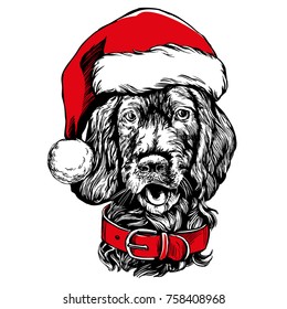 Dog in Santa stocking hat, Santa Claus, Christmas symbol hand drawn vector illustration realistic sketch.