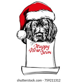 Dog in Santa stocking hat, Santa Claus, Christmas symbol hand drawn vector illustration realistic sketch.