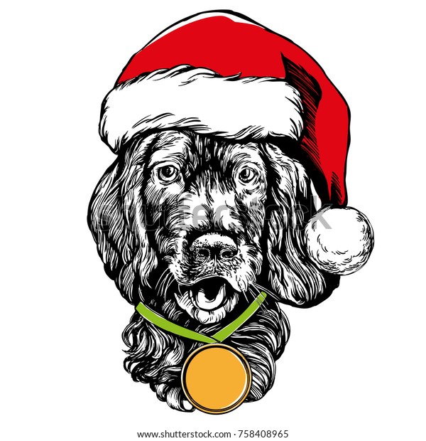 Dog Santa Stocking Hat Santa Claus Stock Image Download Now