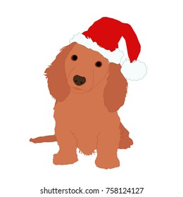 A Dog In A Santa's Hat