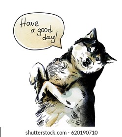The dog says. Husky dog drawing by hand in vintage style. Words bubble greeting. Postcard, poster, print on the T-shirt. Paint spots.